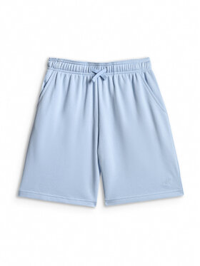 4F 4F Szorty sportowe BASIC+ Niebieski jasny Regular Fit