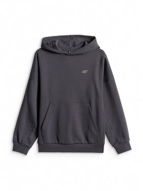 4F 4F Bluza ENJOY THE OUTDOORS Szary ciemny Loose Fit