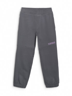 4F 4F Pantaloni da tuta SELF CARE Grigio scuro Regular Fit