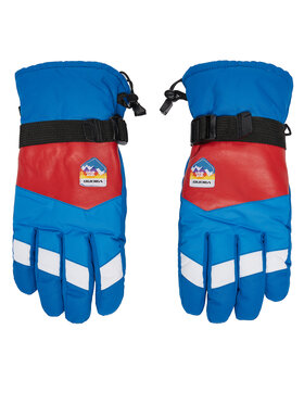 Viking Viking Skihandschuhe Brother Louis Ski 110/24/6226/9934 Bunt