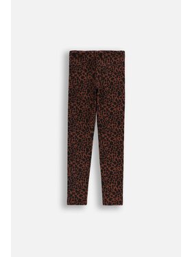 Coccodrillo Coccodrillo Legginsy ZC5122101CGJ-022 Kolorowy