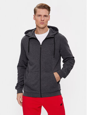 4F 4F Sweatshirt 4FAW23TSWSM695 Grau Regular Fit