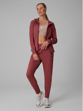 4F 4F Spodnie dresowe BASIC+ Brązowy jasny Regular Fit