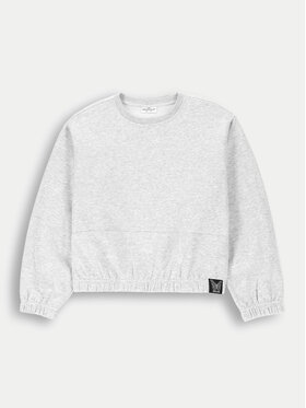 Coccodrillo Coccodrillo Світшот ZC4132601MGJ Сірий Regular Fit