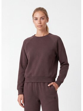 PITBULL PITBULL Bluza DISCOVERY Brązowy Regular Fit