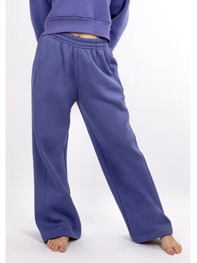 DKaren Sport DKaren Sport Spodnie dresowe DK-K-B17 Fioletowy Classic Fit