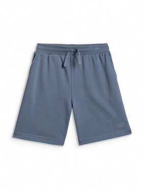 4F 4F Szorty sportowe BASIC+ Regular Fit