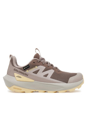 Salomon Salomon Matkajalatsid Elixir Activ Gore-Tex L47760100 Pruun
