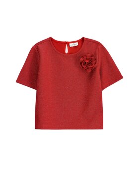 Coccodrillo Coccodrillo T-Shirt ZC6143202EJG-009 Czerwony Regular Fit