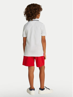 Polo Tommy Hilfiger φωτογραφία