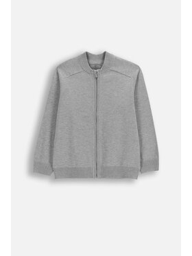 Coccodrillo Coccodrillo Sweter WC6172201BSB-019 Szary Regular Fit