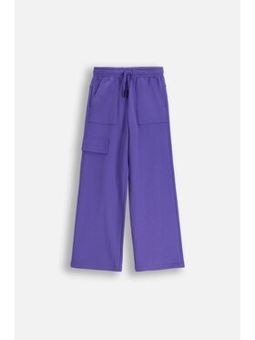 Coccodrillo Coccodrillo Teplákové kalhoty ZC5120102RGJ-016 Fialová Regular Fit