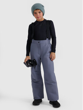 4F 4F Spodnie narciarskie BASIC SKI Szary Regular Fit