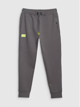 4F 4F Spodnie dresowe SIMPLE UTILITY Szary ciemny Regular Fit