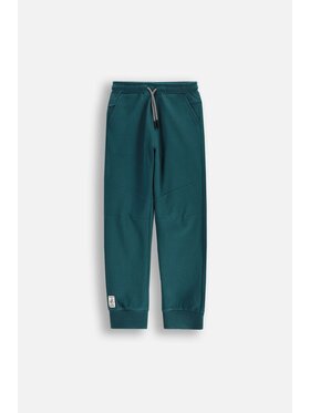 Coccodrillo Coccodrillo Spodnie dresowe WC5120101VBB-011 Zielony Regular Fit