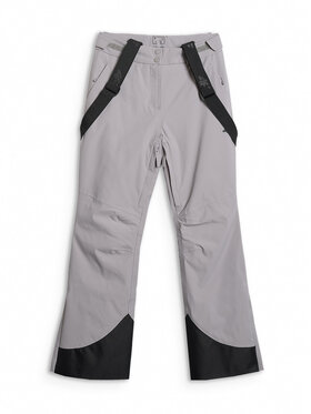 4F 4F Spodnie narciarskie SKIWEAR Szary jasny Regular Fit