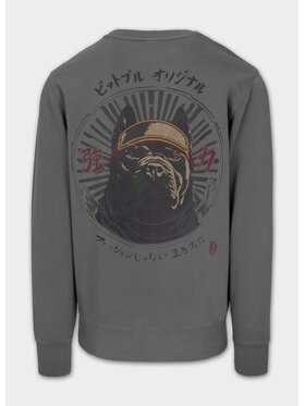 PITBULL PITBULL Bluza Washed MT FUJI Szary Regular Fit