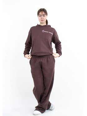 DKaren Sport DKaren Sport Bluza EQ001 Brązowy Classic Fit