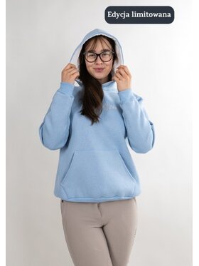 DKaren Sport DKaren Sport Bluza Eq31 Niebieski jasny Classic Fit