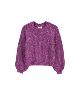 Coccodrillo Coccodrillo Sweter ZC6172103HGJ-016 Fioletowy Regular Fit