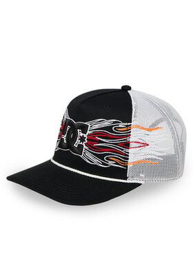 DC Shoes DC Shoes Cappellino Theo  EDYHA03185 Grigio