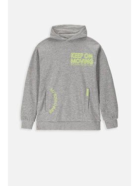 Lemon Explore Lemon Explore Bluza WL4132303CWB-019 Szary Regular Fit