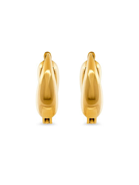 Σκουλαρίκια Aldo φωτογραφία