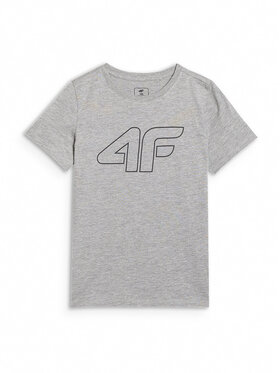 4F 4F T-Shirt BASIC+ Szary Oversize