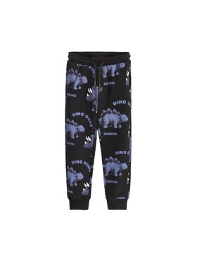 Coccodrillo Coccodrillo Spodnie dresowe ZC6122701WBK-021 Czarny Regular Fit