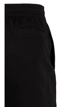 4F 4F Spodnie dresowe TEAMWEAR Czarny Regular Fit