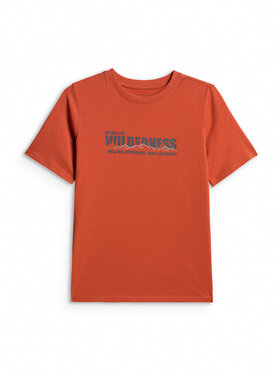 4F 4F T-Shirt ENJOY THE OUTDOORS Pomarańczowy Regular Fit