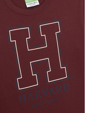 Μπλουζάκι United Colors Of Benetton φωτογραφία