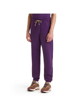 Diadora Diadora Spodnie dresowe PANTS ROUTE Fioletowy Regular Fit