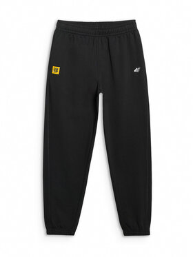 4F 4F Spodnie dresowe TEAMWEAR Czarny Regular Fit