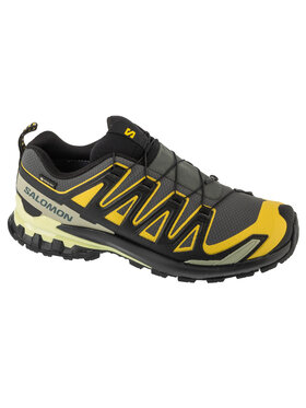 Salomon Salomon Buty do biegania XA Pro 3D v9 GTX Szary