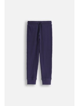 Coccodrillo Coccodrillo Spodnie dresowe WC5122101SBK-015 Granatowy Regular Fit