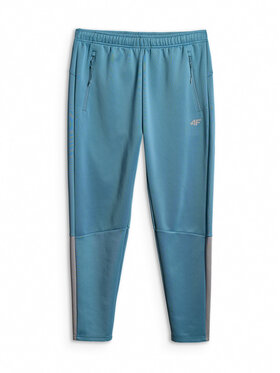 4F 4F Spodnie dresowe VICTORY PACK Regular Fit