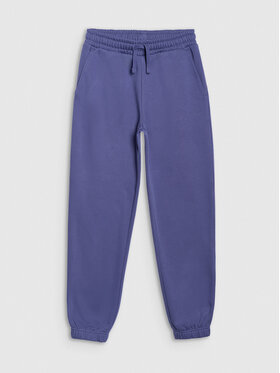 4F 4F Spodnie dresowe BASIC+ Niebieski Regular Fit