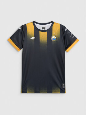 4F 4F Koszulka techniczna TEAMWEAR Kolorowy Regular Fit