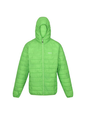 Regatta Regatta Kurtka outdoor Hillpack Zielony Long Fit