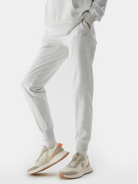 4F 4F Спортивні штани 4FWSS24TTROF606 Сірий Regular Fit