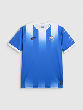 4F 4F Koszulka techniczna TEAMWEAR Kolorowy Regular Fit