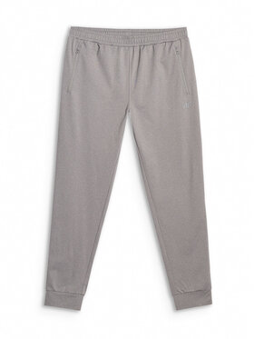4F 4F Παντελόνι φόρμας MULTI ACTIVE Γκρι Regular Fit