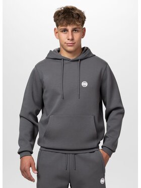 PITBULL PITBULL Bluza CHARGER SMALL LOGO Szary Regular Fit