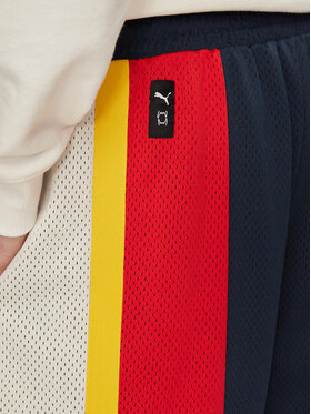 Αθλητικό σορτς Puma φωτογραφία