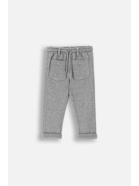 Coccodrillo Coccodrillo Spodnie dresowe ZC4120103BBN-019 Szary Regular Fit