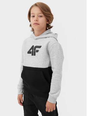 4F 4F Sweatshirt 4FJAW23TSWSM628 Grau Regular Fit