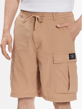 DC DC Kratke hlače Tundra ADYWS03068 Bež Regular Fit