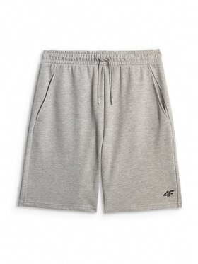 4F 4F Αθλητικό σορτς BASIC+ Ανοιχτό γκρι Regular Fit