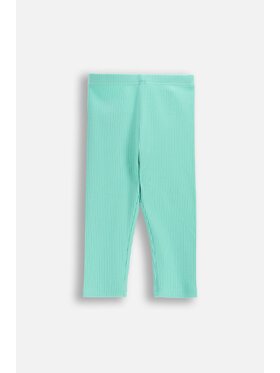 Coccodrillo Coccodrillo Legginsy WC6122301TGK-031 Zielony